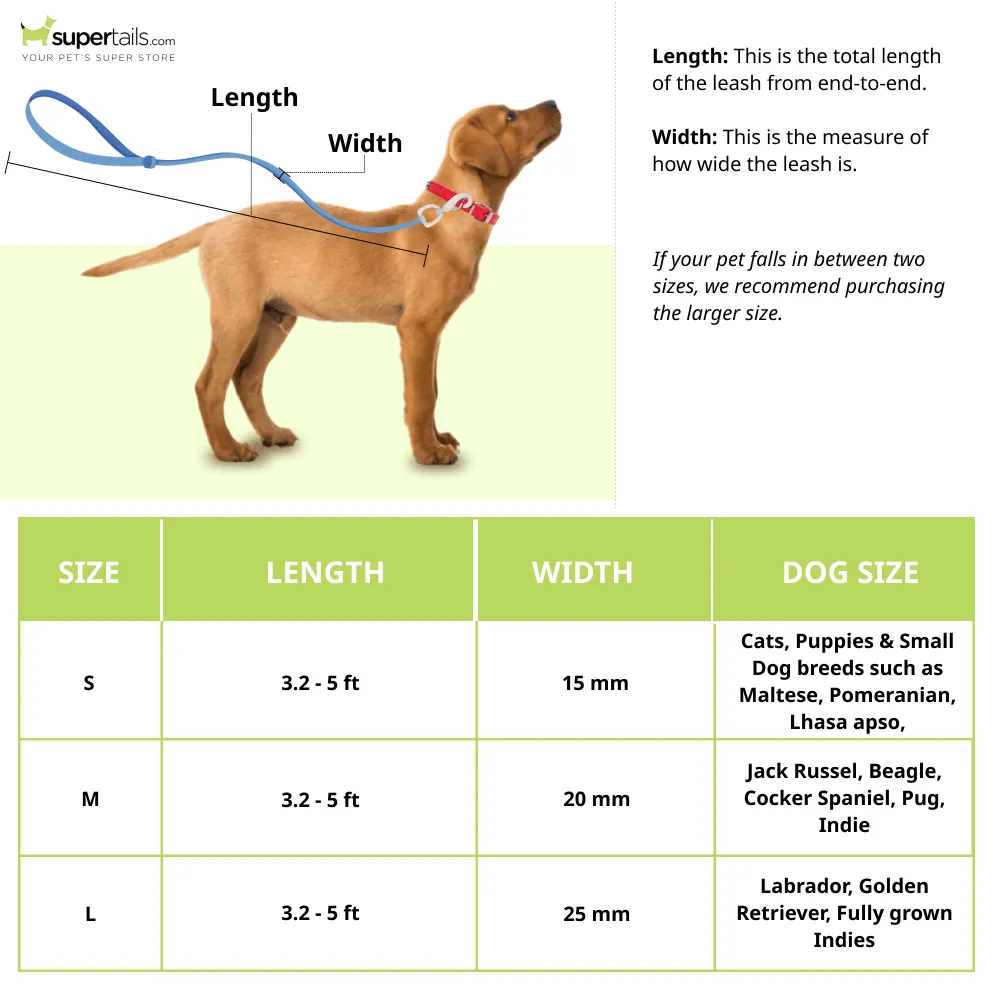 A Plus A Click & Lock Hook Tetris Design Leash for Dogs and Cats