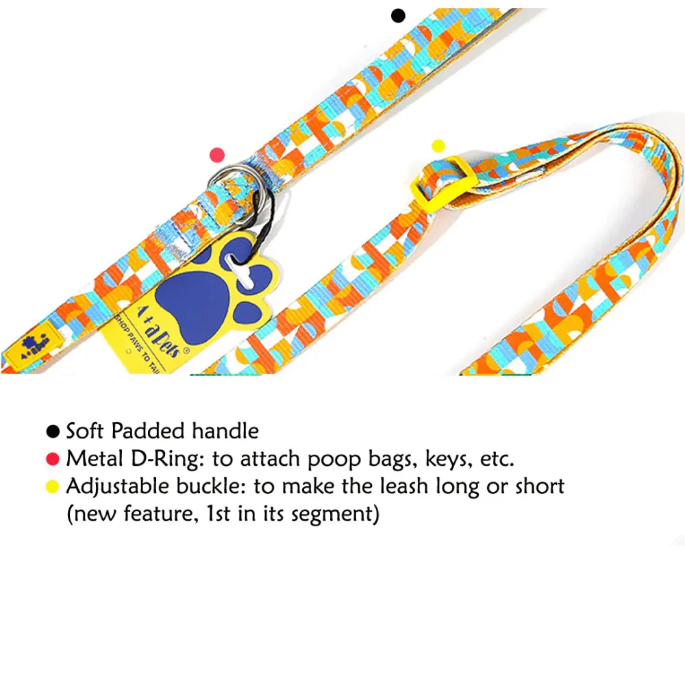 A Plus A Click & Lock Hook Tetris Design Leash for Dogs and Cats