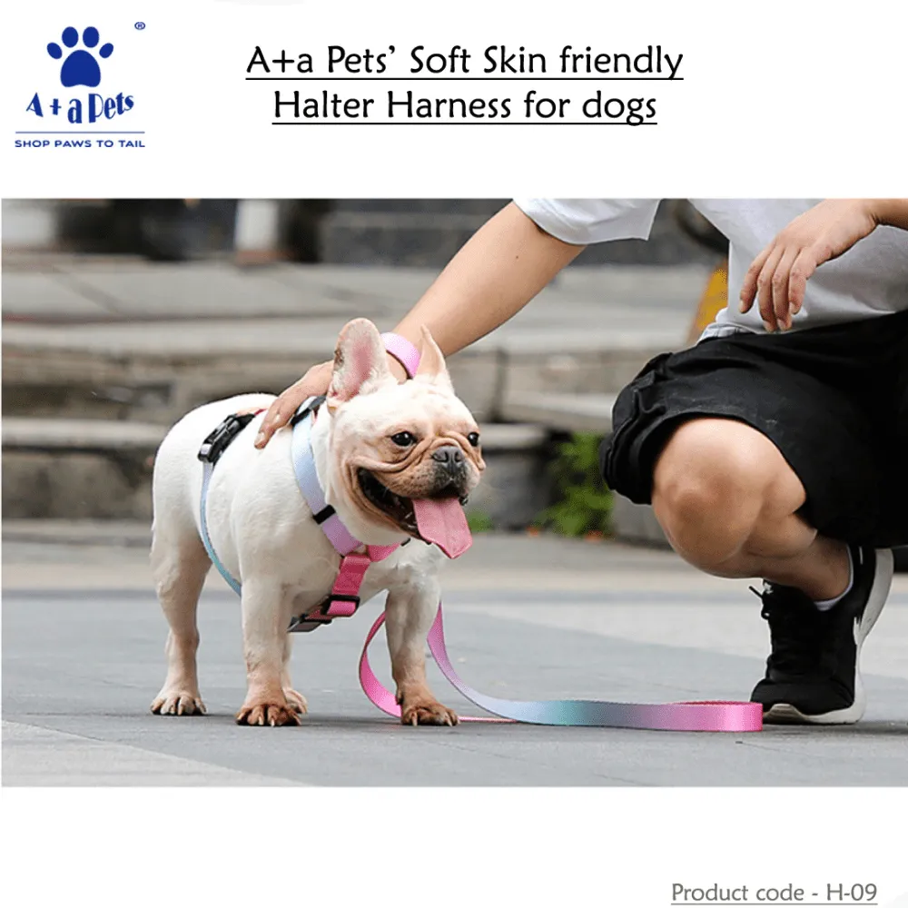 A Plus A Pets Skin Friendly Gradient Design Harness for Dogs and Cats (Pink)