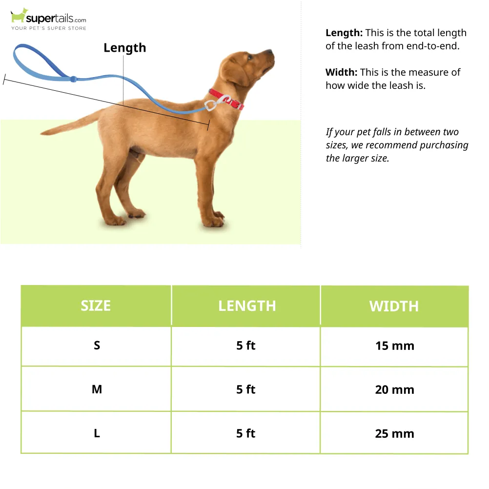 A Plus A Pets Skin Friendly Gradient Design Leash for Dogs (5ft, Pink)
