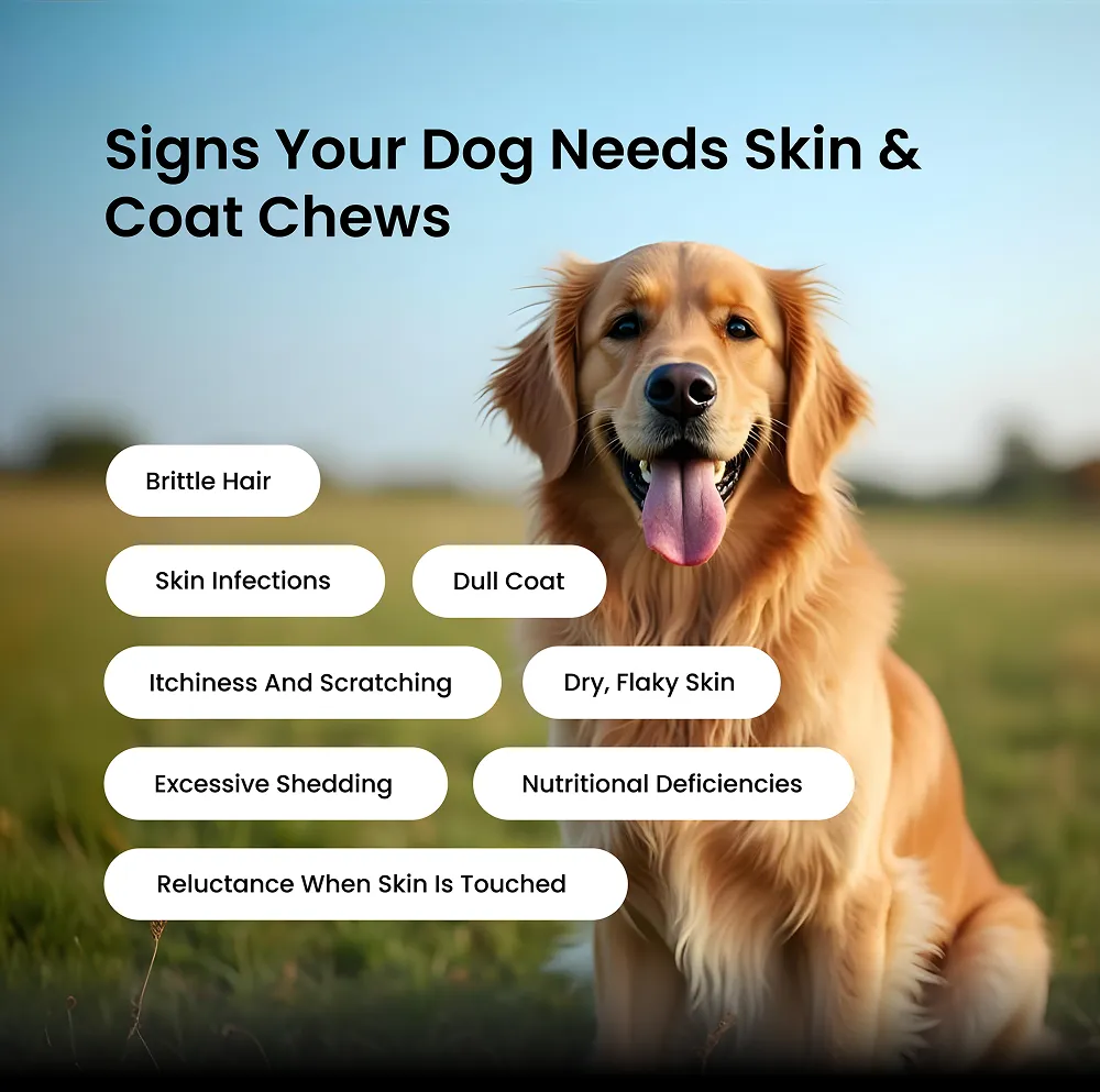 Absolut Pet Skin & Coat with Collagen and Biotin Dog Supplement