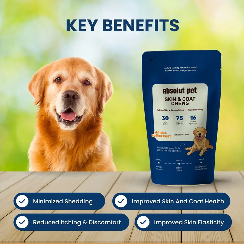 Absolut Pet Skin & Coat with Collagen and Biotin Dog Supplement