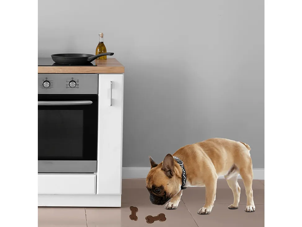 Afb Bone Appetit - Doggie The Chief Pets Qatar