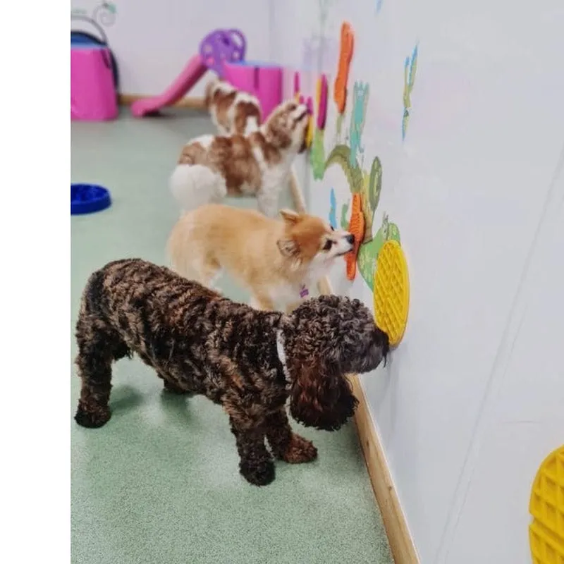 Afb Calming Pals - Wowfle Lick Mat Pets Qatar