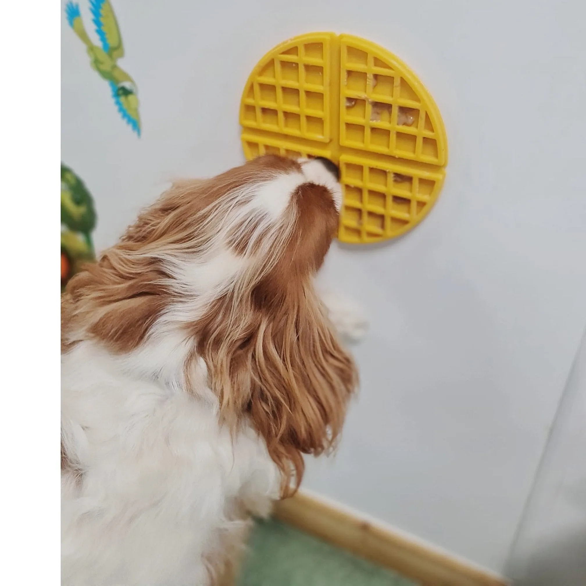 Afb Calming Pals - Wowfle Lick Mat Pets Qatar