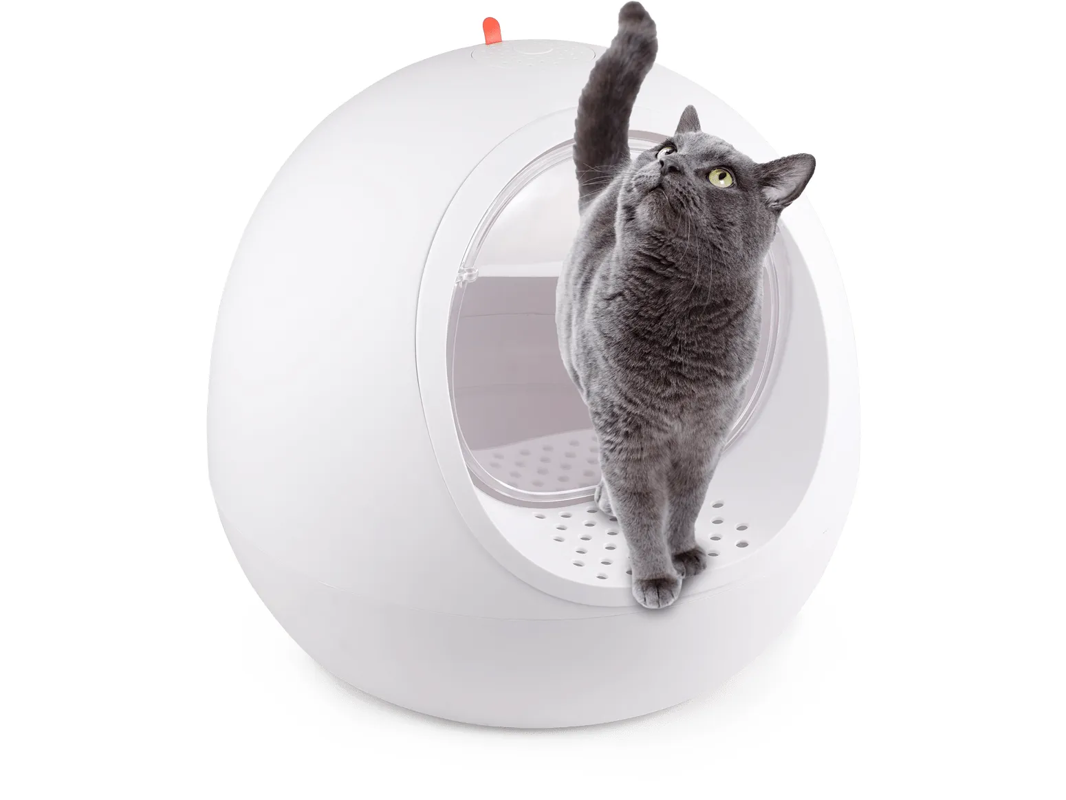 Afb Go Fresh - Dome Cave Cat Litter Box Pets Qatar