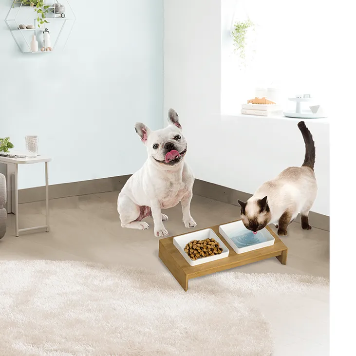 Afb Liftstyle4Pets - Double Dinner - M Pets Qatar