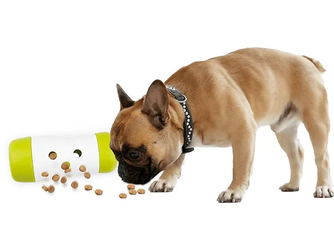 AFP Interactives-Treat Frenzy Roll Pets Qatar
