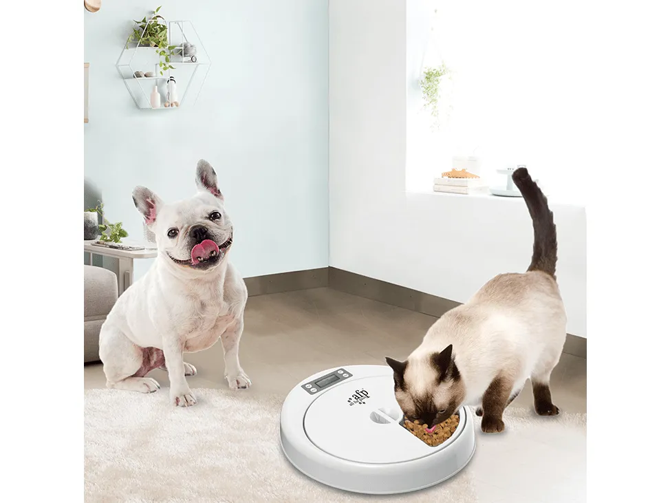 AFP Lifestyle 4 Pet-5 Meal Pet Feeder Pets Qatar