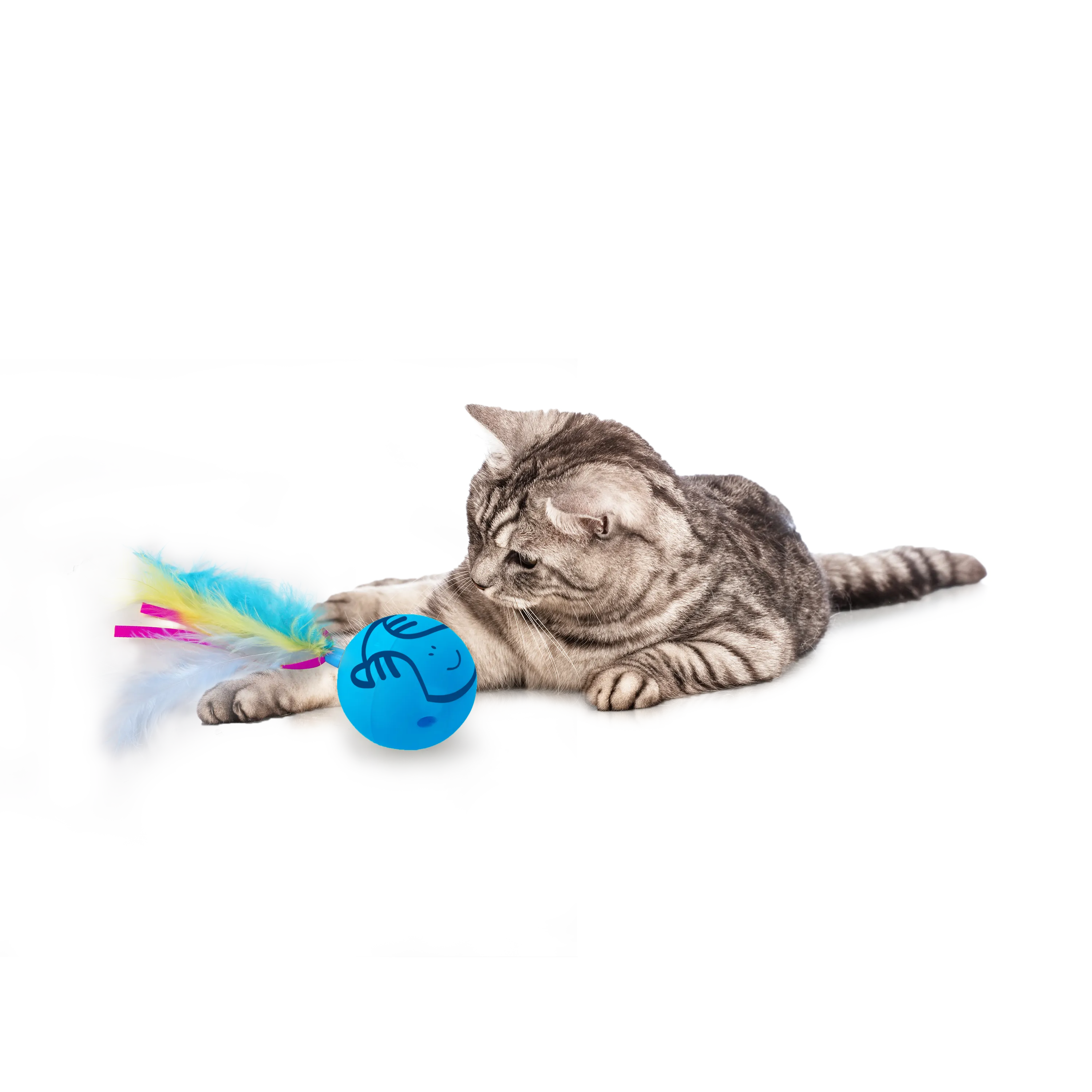 AFP Modern Cat - Dizzy Spinner - Interactive Cat Toy Pets Qatar