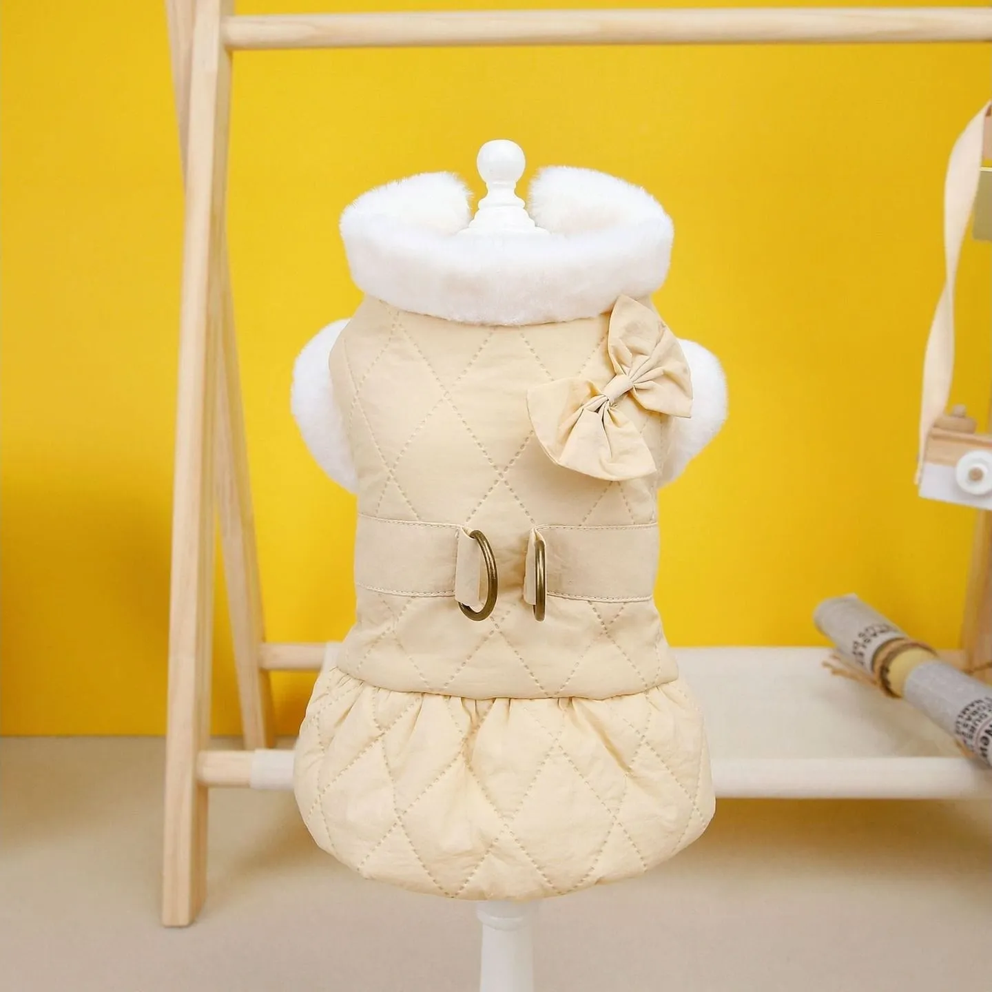 Apricot Cat Clothes Pets Qatar