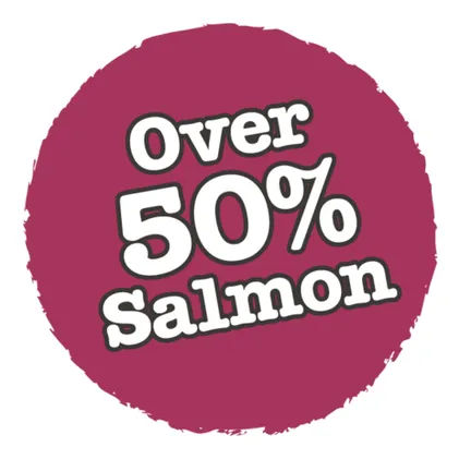 Atlantic Salmon Complete dry food for Adult Cats 350gm /Little BigPaw Pets Qatar