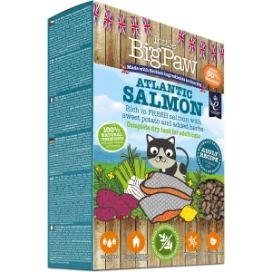 Atlantic Salmon Complete dry food for Adult Cats 350gm /Little BigPaw Pets Qatar