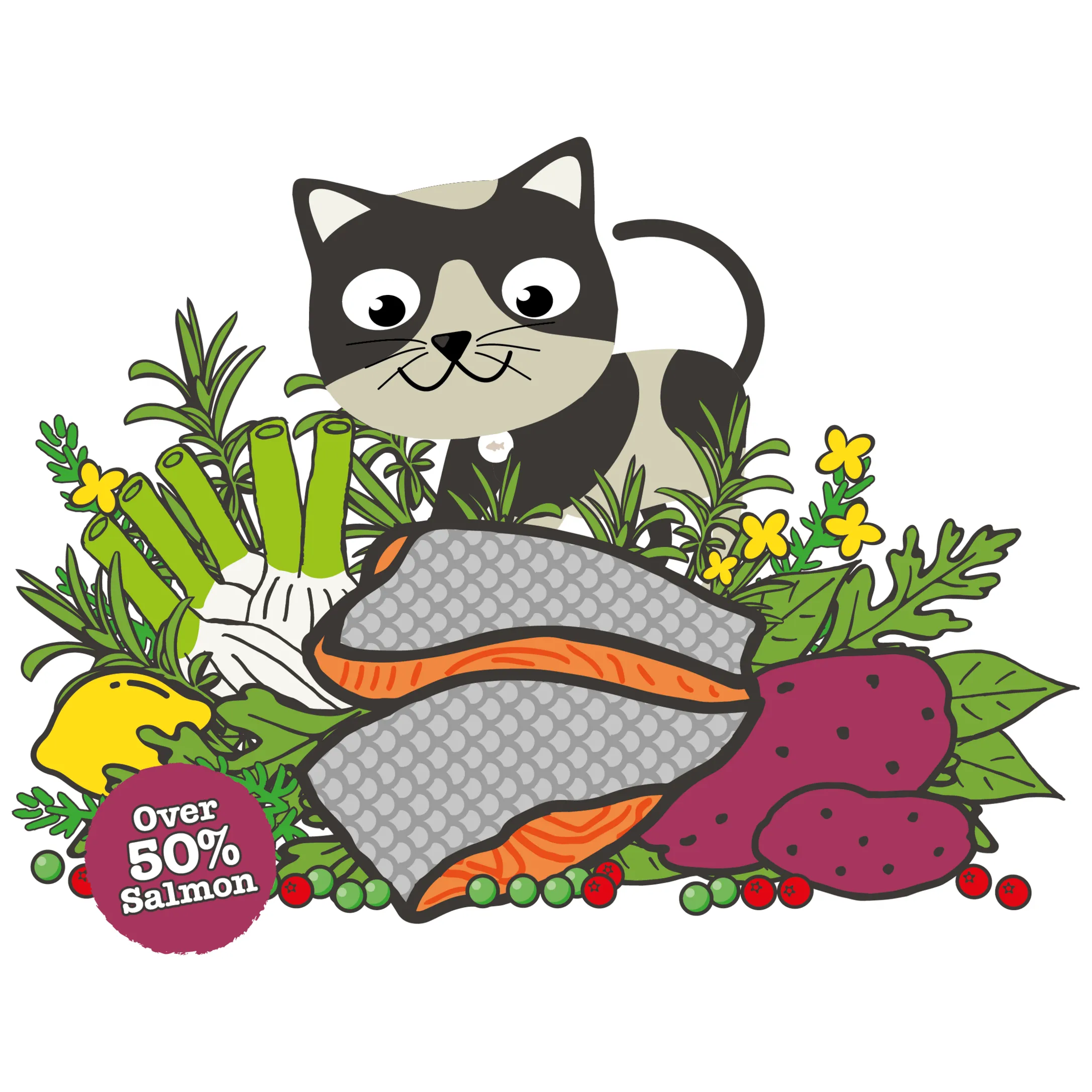Atlantic Salmon Complete dry food for Adult Cats 350gm /Little BigPaw Pets Qatar
