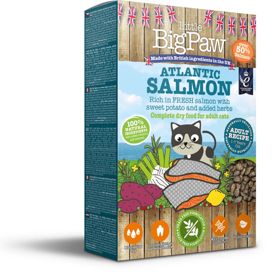 Atlantic Salmon Complete dry food for Adult Cats 350gm /Little BigPaw Pets Qatar
