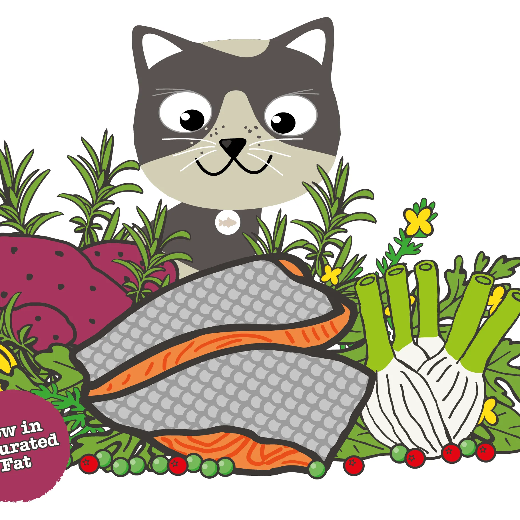 Atlantic Salmon Complete dry food for Senior Cats 1.5KG /Little BigPaw Pets Qatar