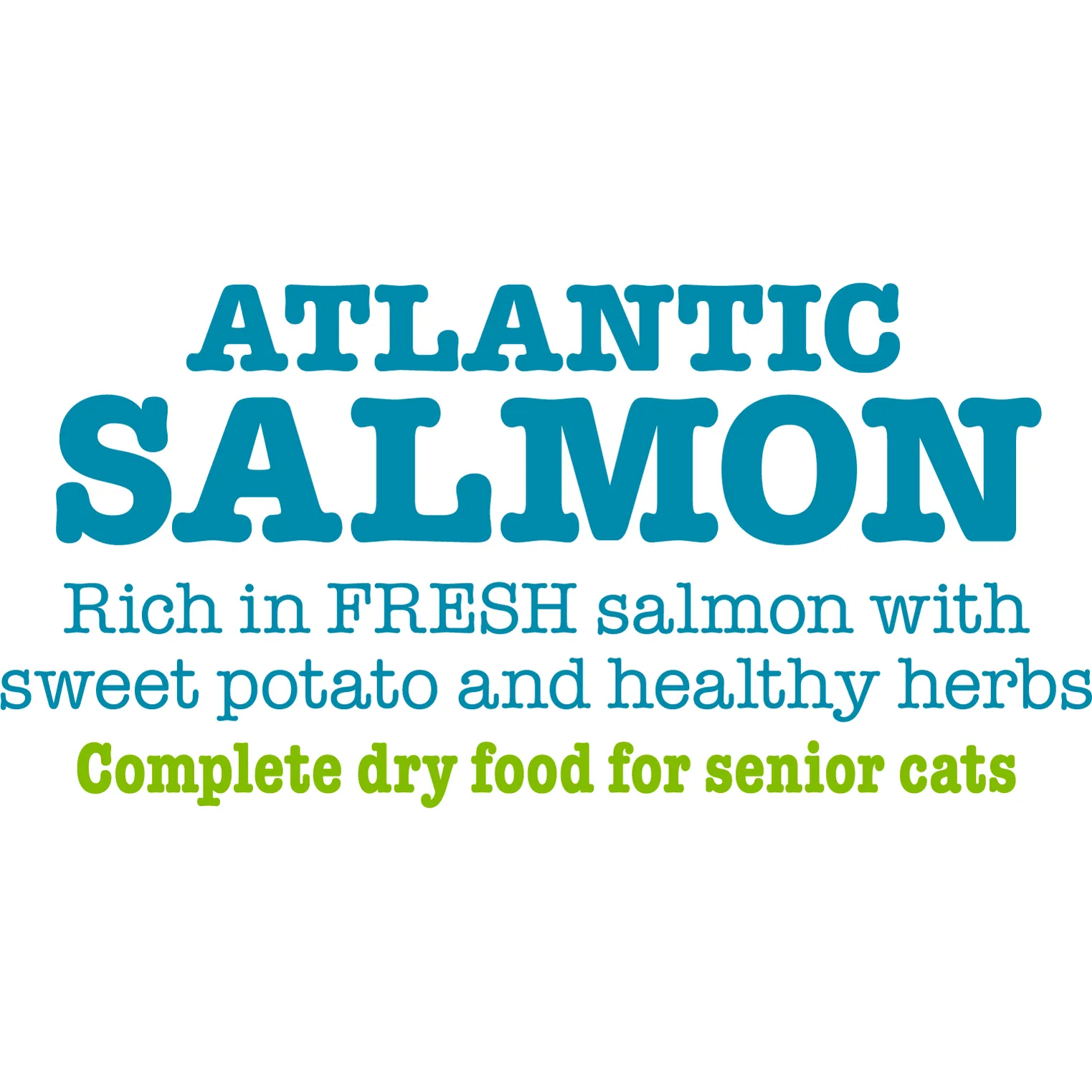 Atlantic Salmon Complete dry food for Senior Cats 1.5KG /Little BigPaw Pets Qatar