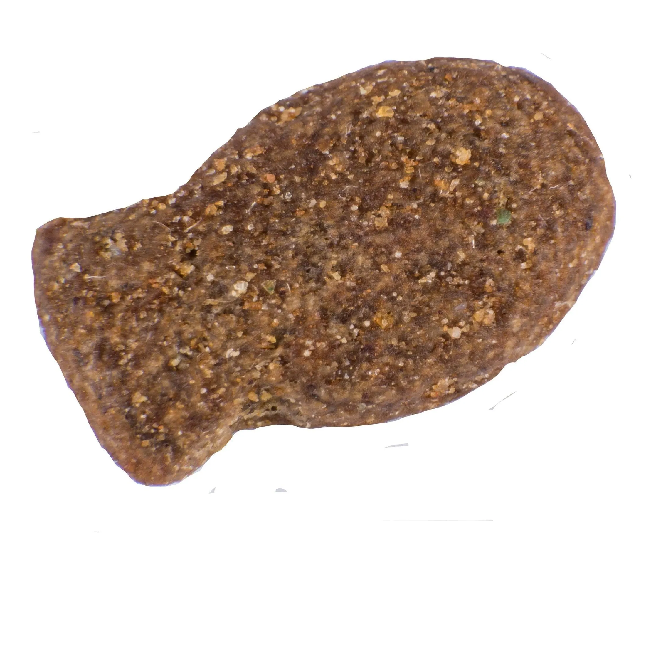 Atlantic Salmon Complete dry food for Senior Cats 1.5KG /Little BigPaw Pets Qatar