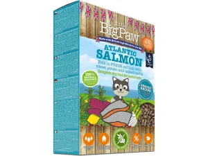 Atlantic Salmon Complete dry food for Senior Cats 350gm /Little BigPaw Pets Qatar