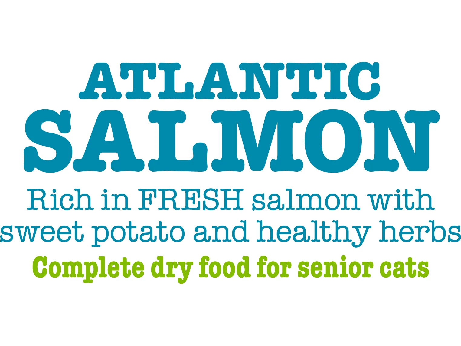 Atlantic Salmon Complete dry food for Senior Cats 350gm /Little BigPaw Pets Qatar