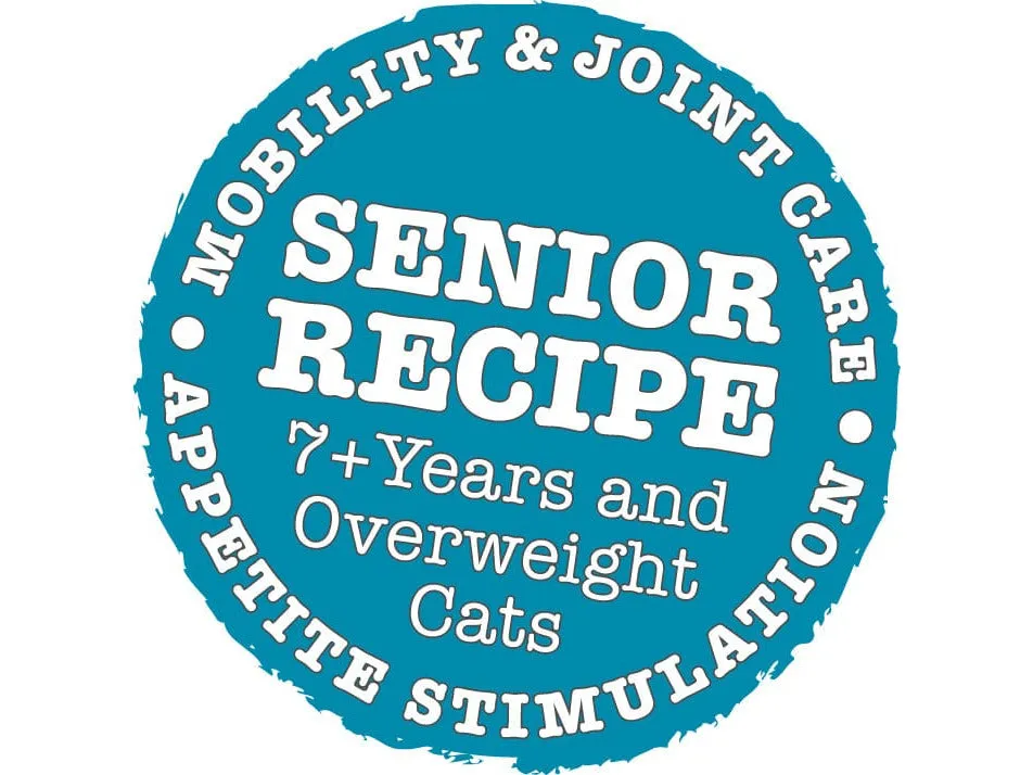 Atlantic Salmon Complete dry food for Senior Cats 350gm /Little BigPaw Pets Qatar