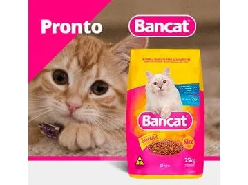 Bancat daily activities adult cats 25kg Pets Qatar
