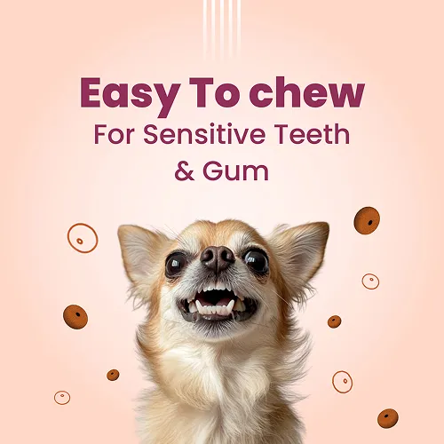 Bark Out Loud Chicken Rings Soft Chews Dog Treats
