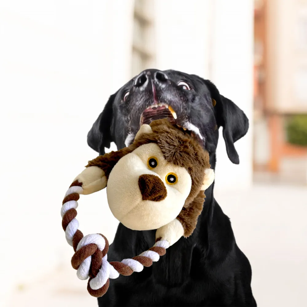 Barkbutler Knotty The Bear Plush Toy for Dogs