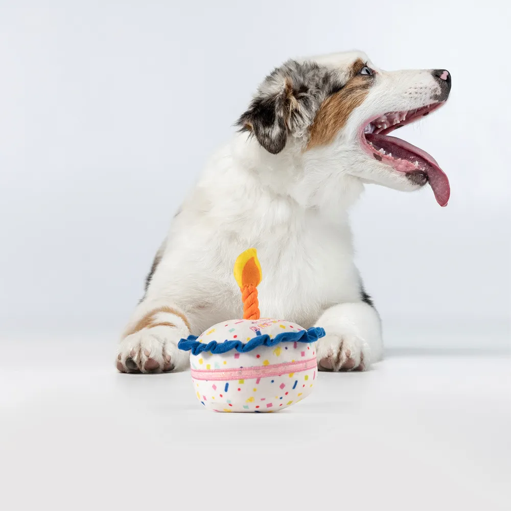 Barkbutler x Fofos Birthday Cake Plush Toy for Dogs