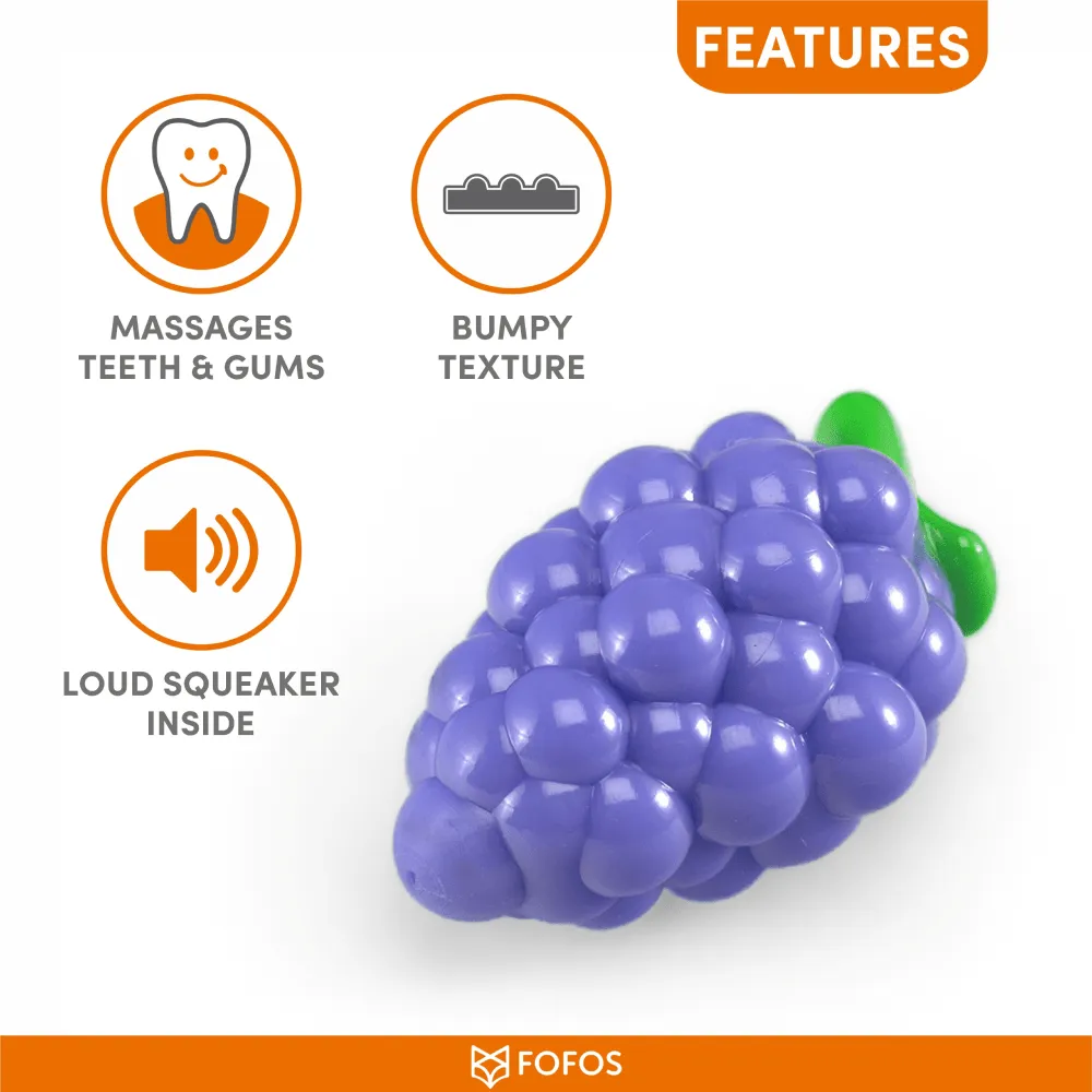 Barkbutler x Fofos Crazy Grape Squeaky Chew Toy for Dogs | For Medium Chewers (Blue)