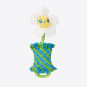 Barkbutler x Fofos Dental Flower Toy for Dogs