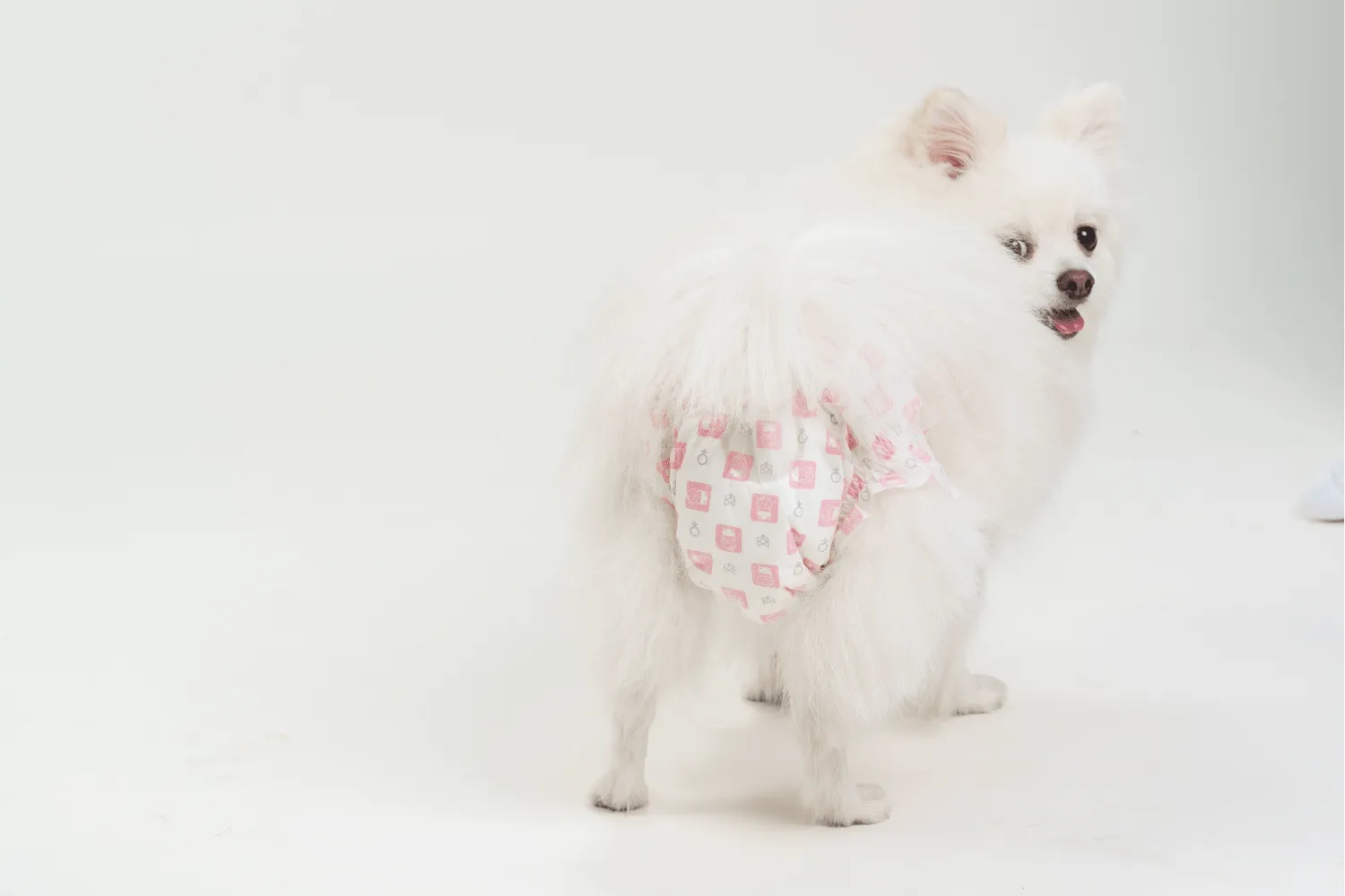 Barkbutler x Fofos Diaper for Female Dogs (25x33cm)