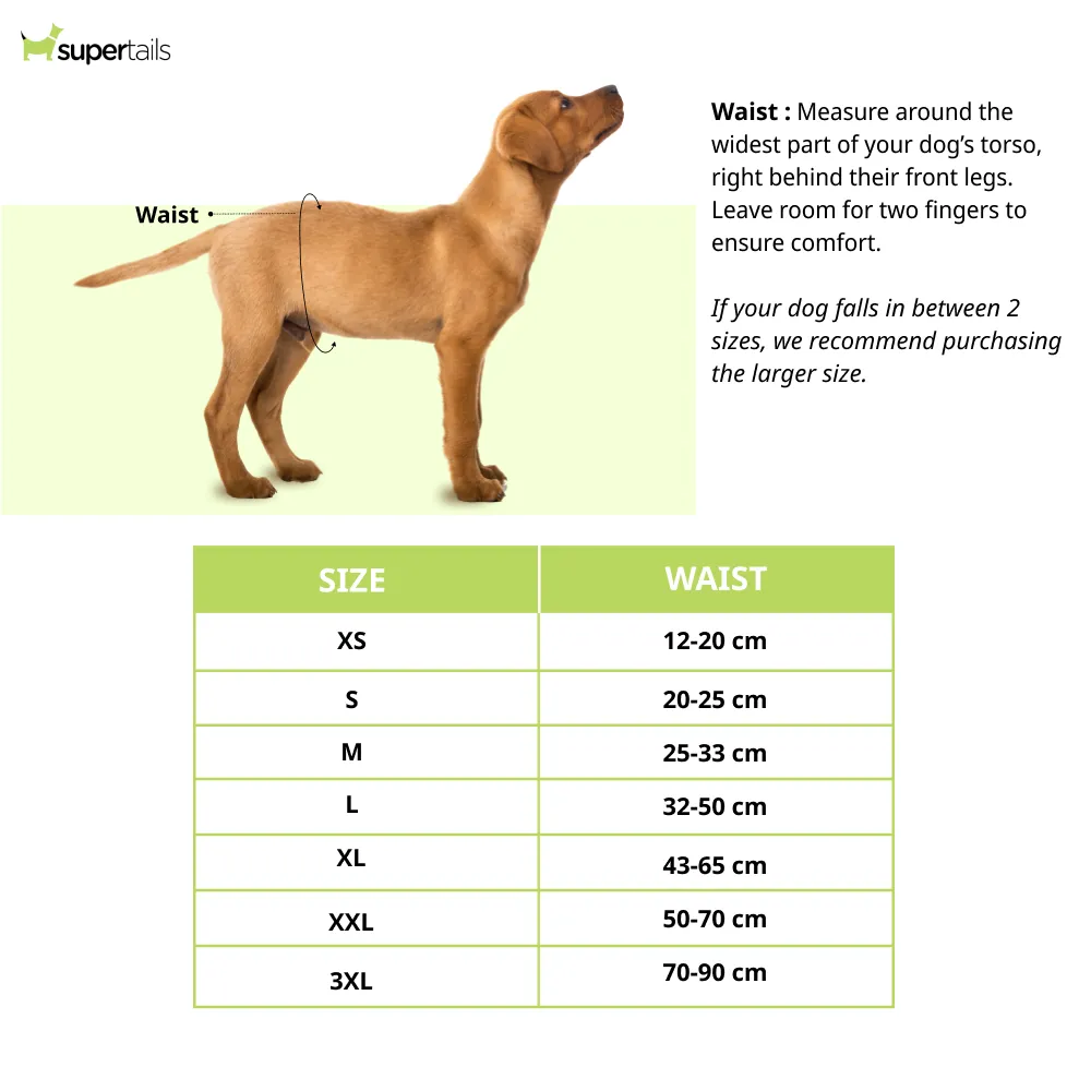 Barkbutler x Fofos Diaper for Female Dogs (32x50cm)