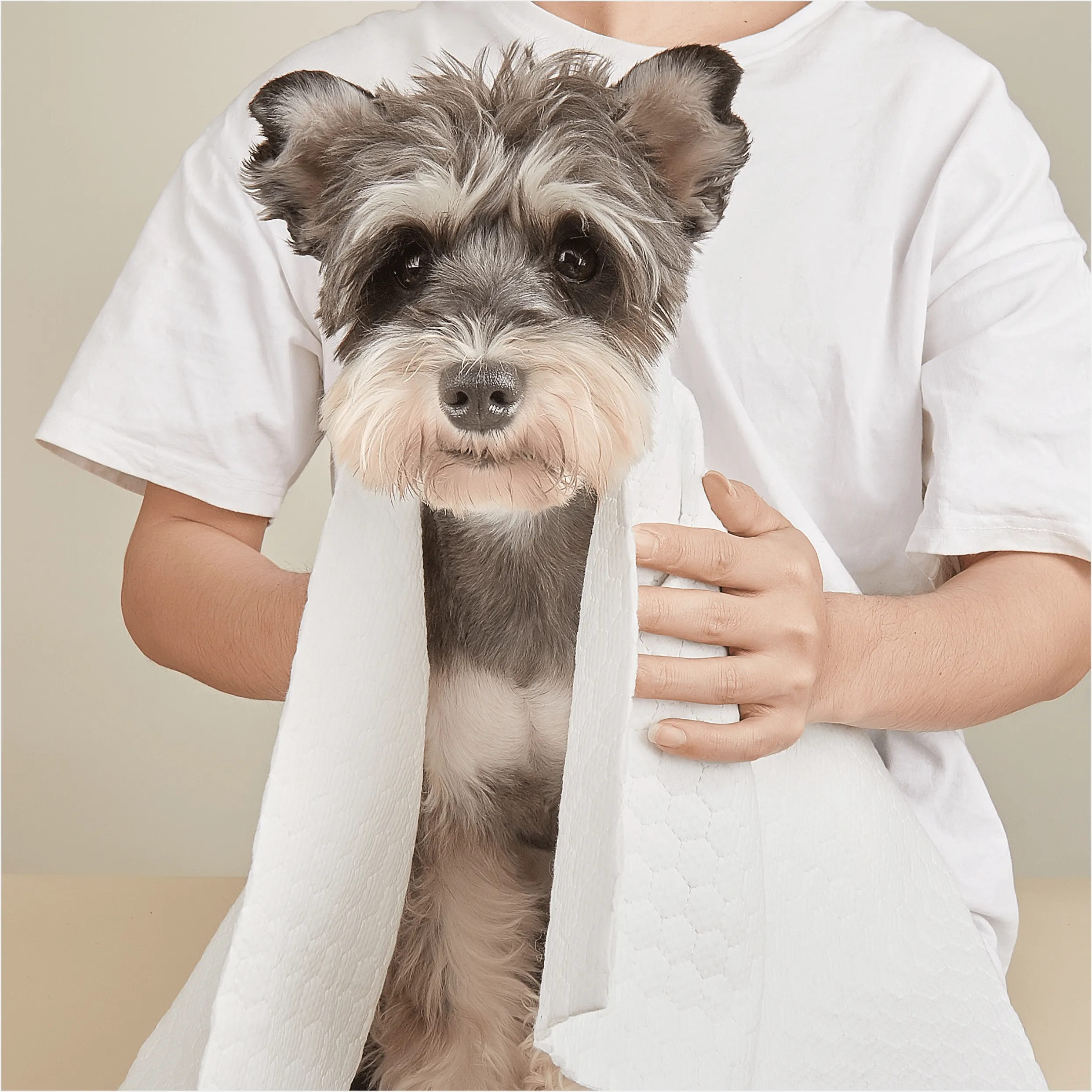 Barkbutler x Fofos Disposable Towels for Dogs