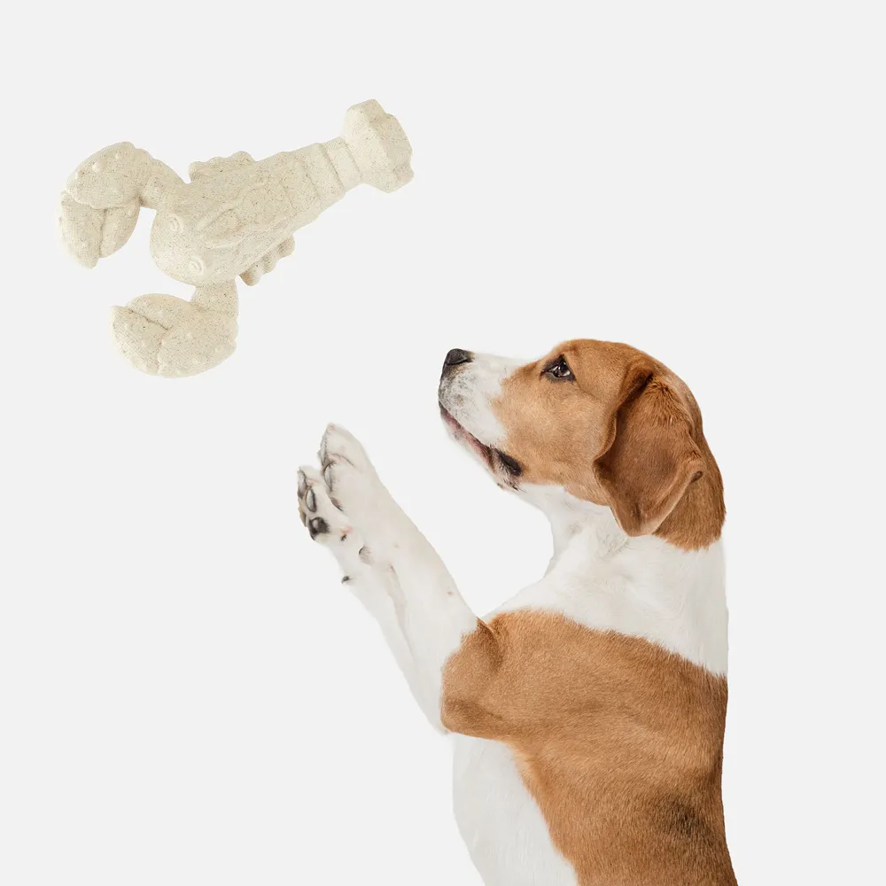 Barkbutler x Fofos Durable Lobster Chew Toy for Dogs