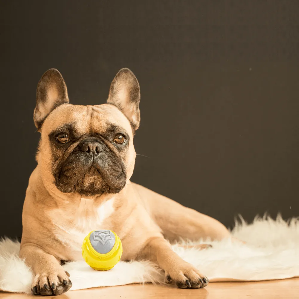 Barkbutler x Fofos Flexy Ball Ultra Bounce Toy for Dogs (Yellow & Grey) | For Aggressive Chewers