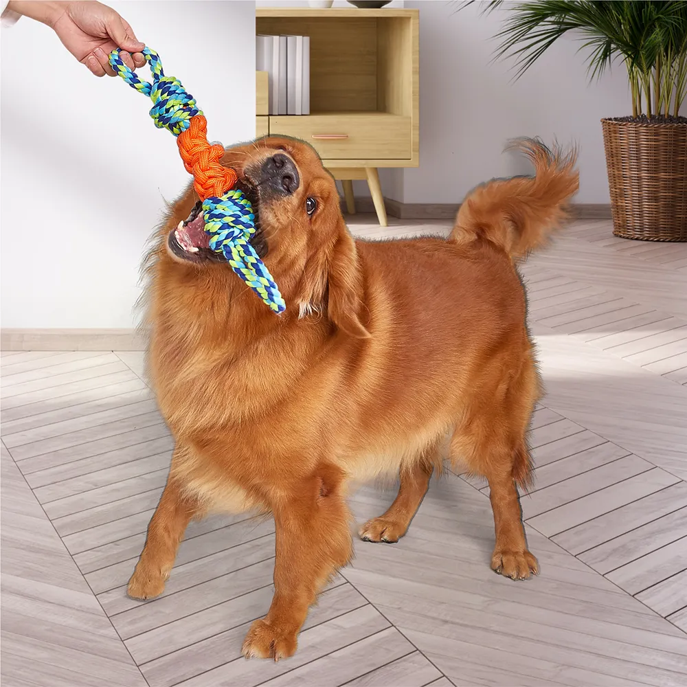 Barkbutler x Fofos Flossy Rope Toy for Dogs