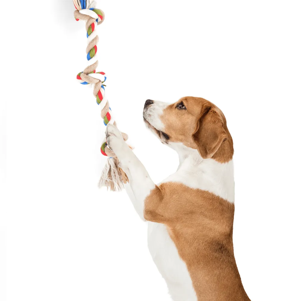 Barkbutler x Fofos Flossy Three Knots Rope Toy For Dogs