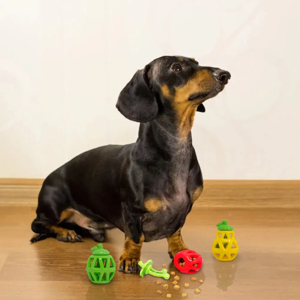 Barkbutler x Fofos Fruity Bites Treat Dispensing Strawberry Toy for Dogs