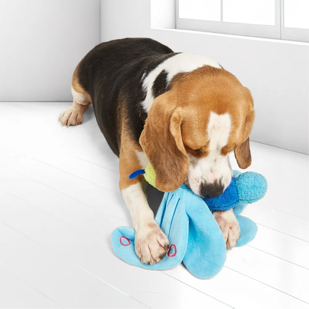 Barkbutler x Fofos Jumbo Butterfly Plush Toy for Dogs (Blue)