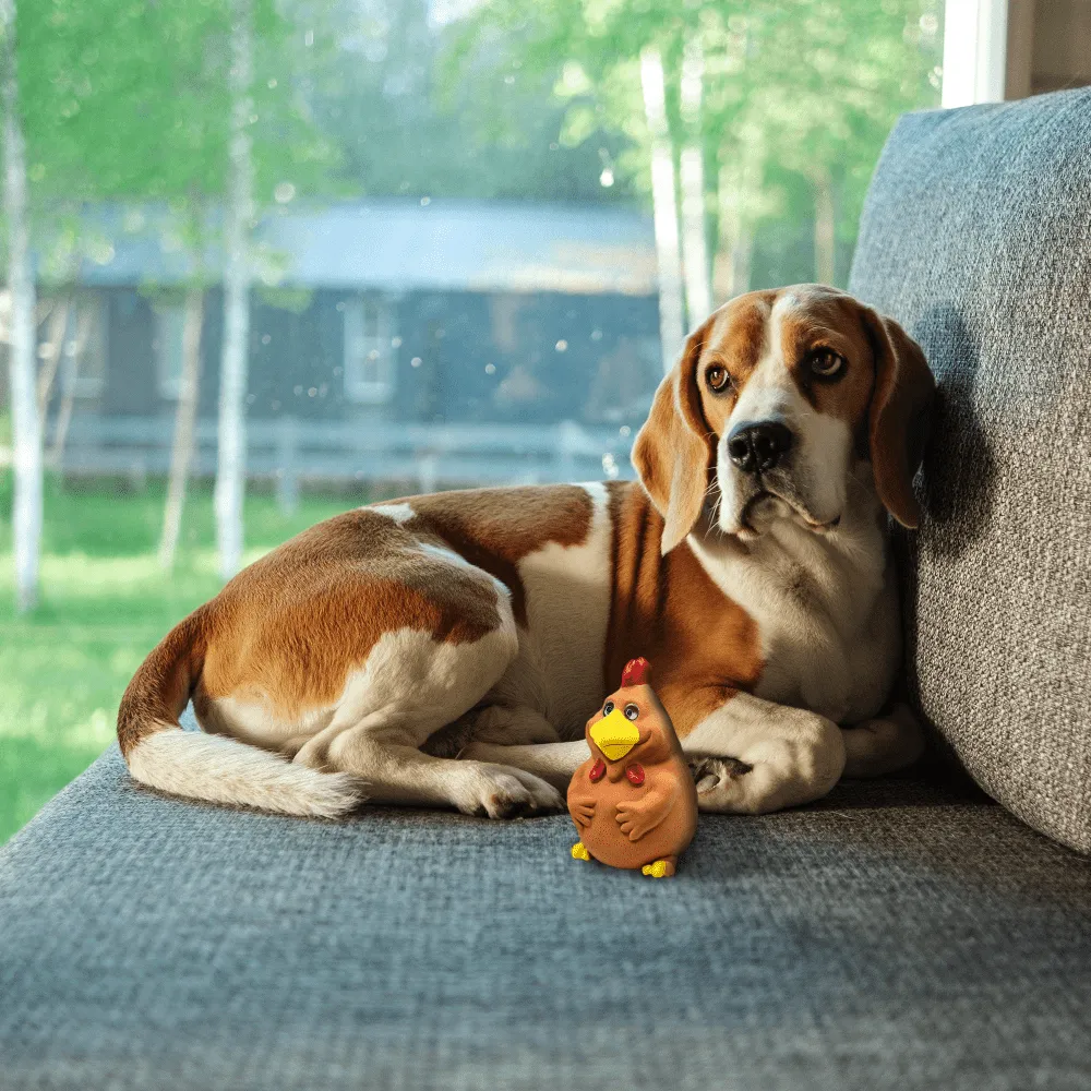 Barkbutler x Fofos Latex Bi Rooster Squeaky Toy for Dogs (Brown)