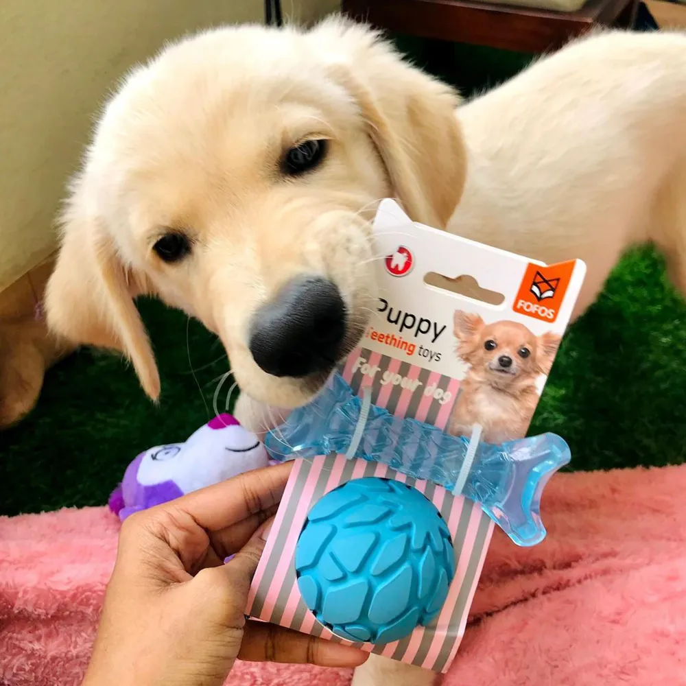 Barkbutler x Fofos Milk Bone & Ball Durable Interactive Chew Toy for Dogs (Blue)