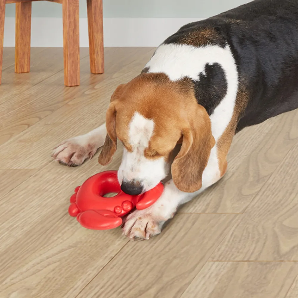 Barkbutler x Fofos Ocean Crab Squeaky Chew Toy for Dogs