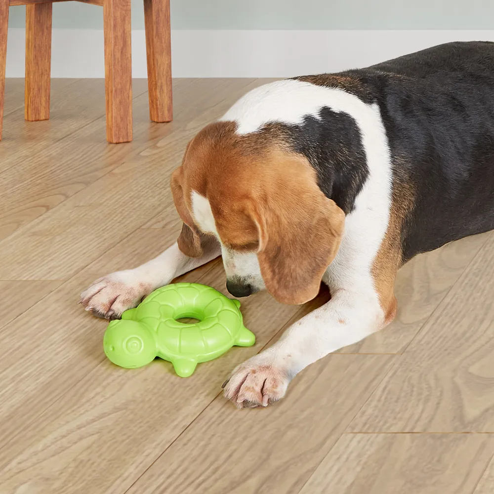 Barkbutler x Fofos Ocean Turtle Squeaky Chew Toy for Dogs