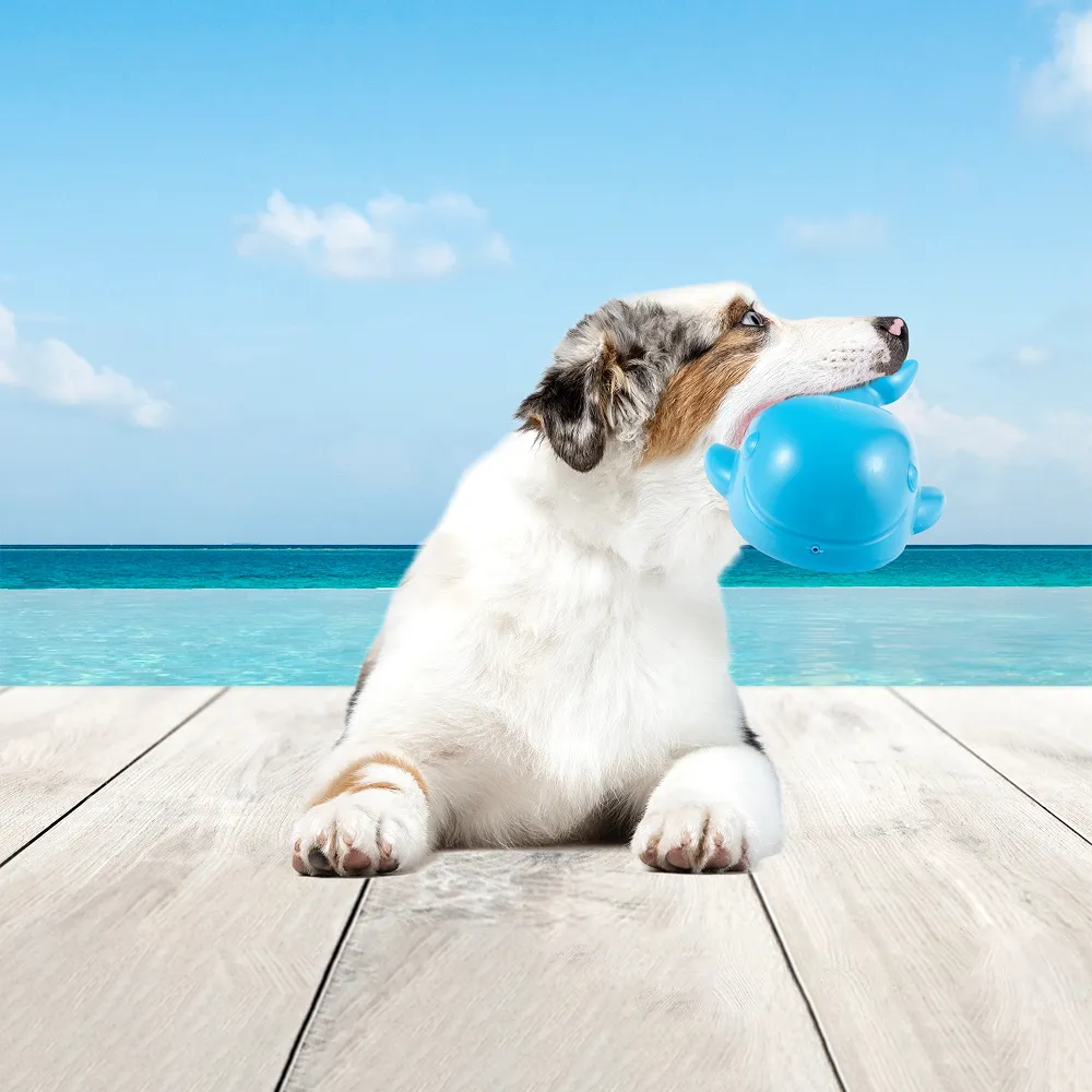 Barkbutler x Fofos Ocean Whale Squeaky Chew Toy for Dogs
