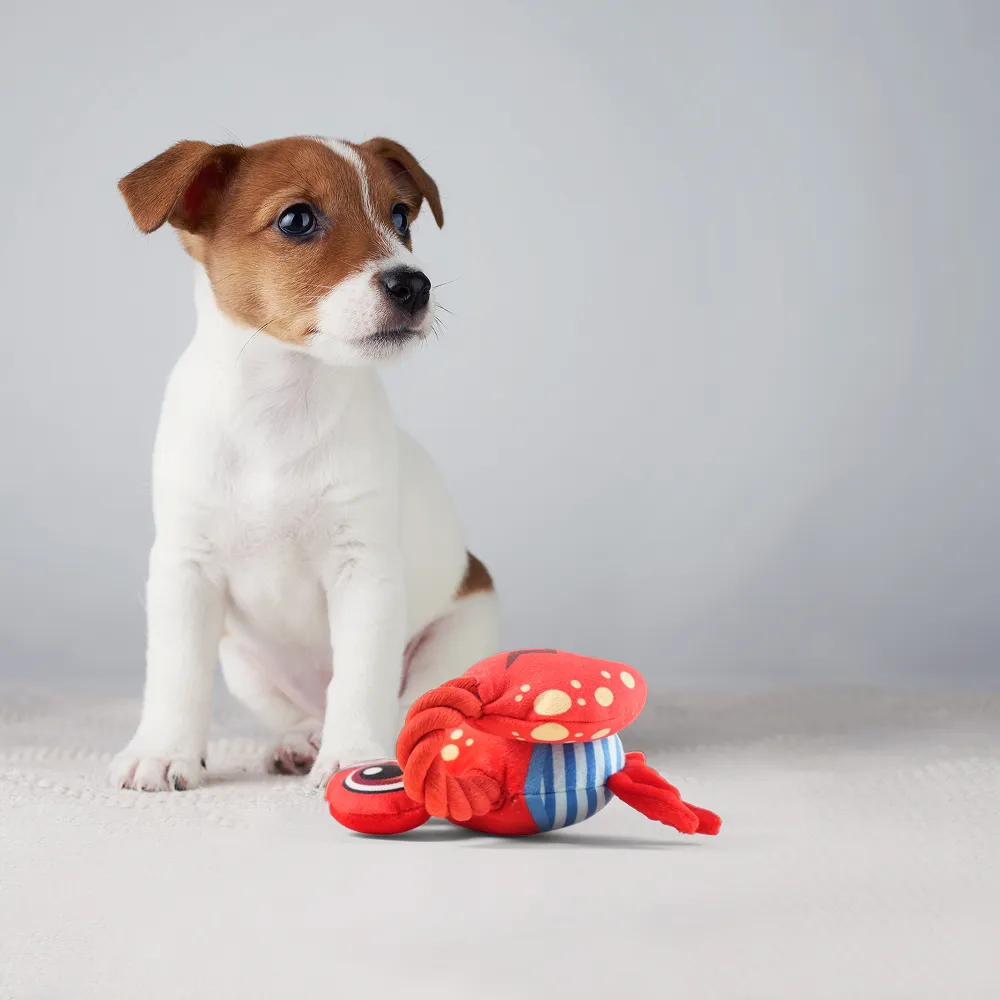 Barkbutler x Fofos Sealife Crab Plush Toy for Dogs