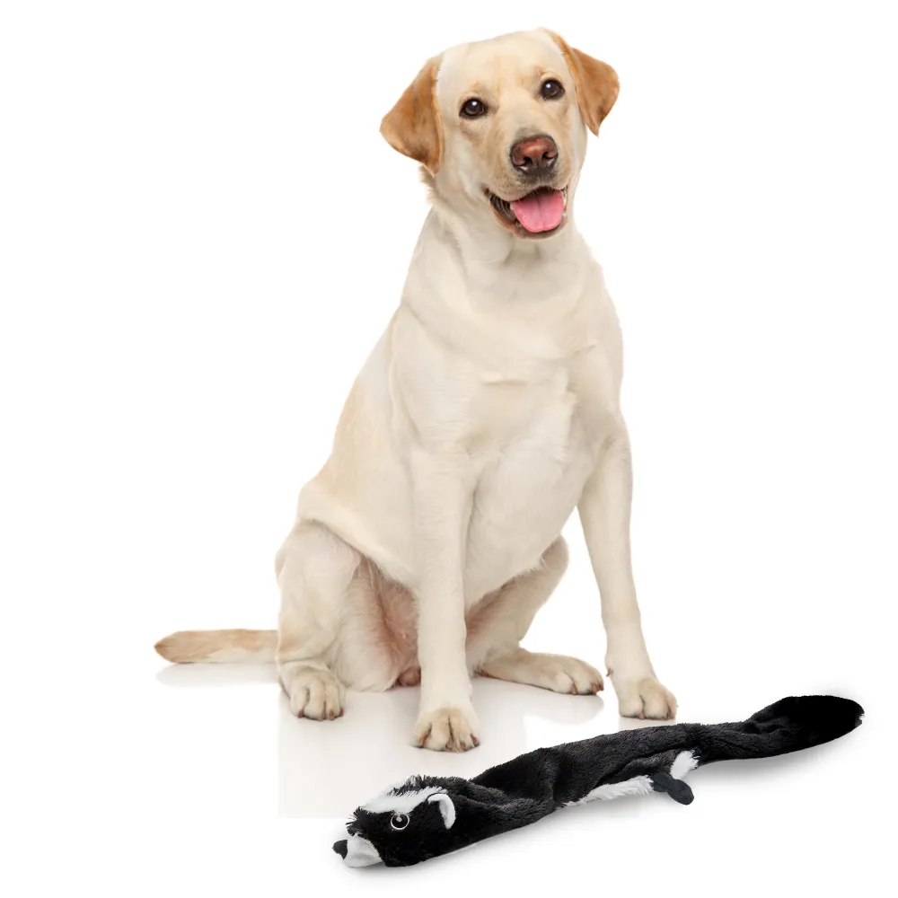 Barkbutler x Fofos Skinneez Skunk Toy for Dogs