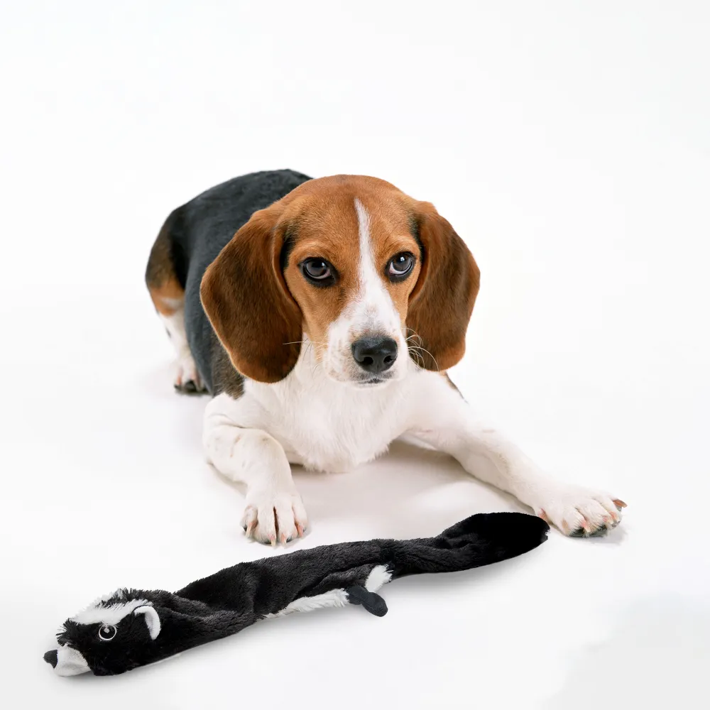 Barkbutler x Fofos Skinneez Skunk Toy for Dogs