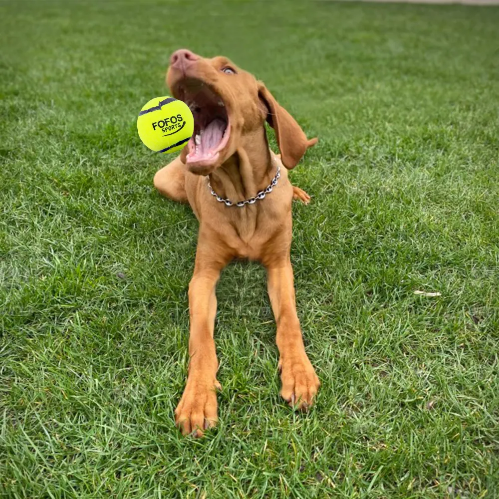 Barkbutler x Fofos Sports Fetch Ball for Dogs