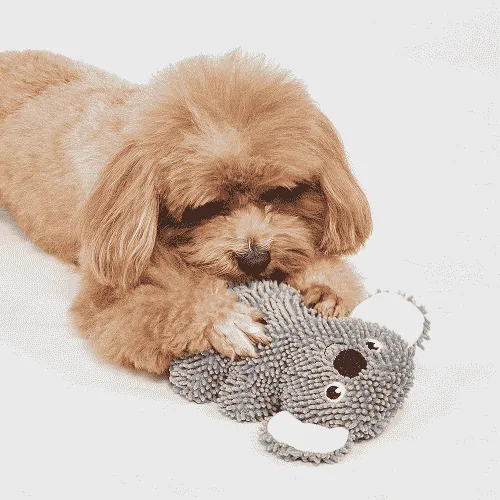 Barkbutler x Fofos Tough Koala Chew Toy for Dogs